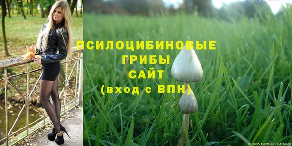 гашиш Вяземский