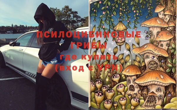ешки Вязьма