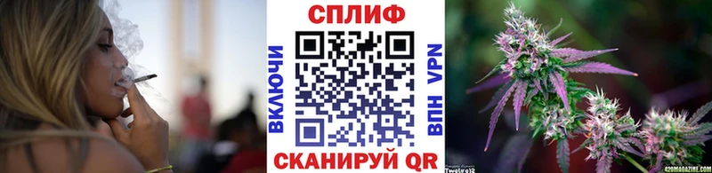 Канабис ГИДРОПОН  купить наркоту  Волгодонск 